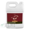 horse_racing_syrup_5l.jpg