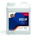 Cavalor Kick Up - dodatek energetyczny
