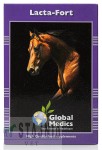 Global Medics Lacta-Fort odkwaszanie mięśni