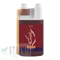 bronchi-equus.jpg